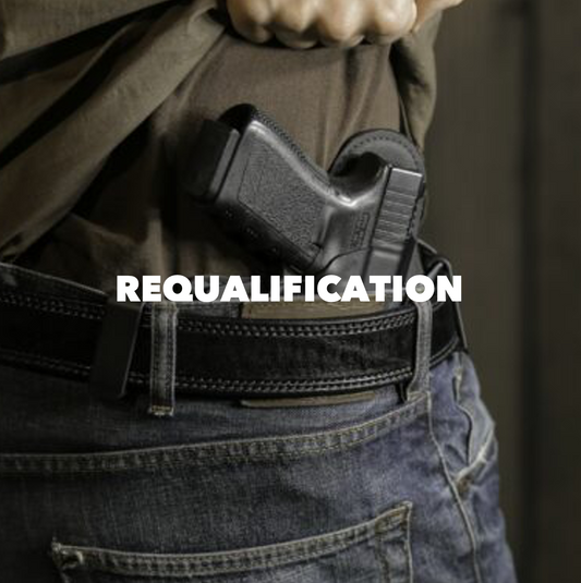 RENEWAL NV CARRY CONCEALED WEAPON (CCW)